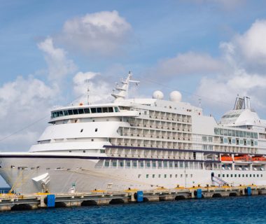 L'univers fascinant des paquebots de croisière : entre luxe et découverte
