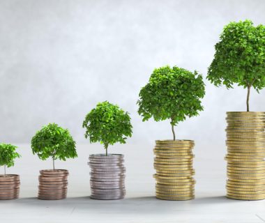 Optimisez votre activité freelance avec une société de portage
